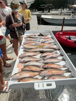 Fishing in Big Pine Key, Florida