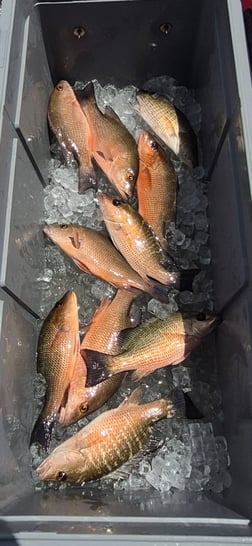 Fishing in Vero Beach, Florida