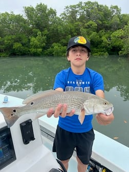 Fishing in Fort Myers Beach, Florida
