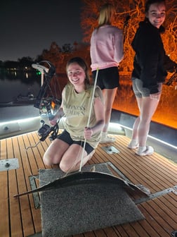 Fishing in Tampa, Florida