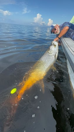 Fishing in Punta Gorda, Florida