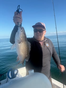 Fishing in Largo, Florida