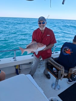 Fishing in South Padre Island, Texas