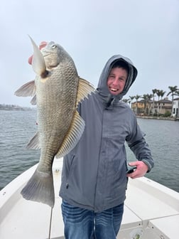 Fishing in Sarasota, Florida