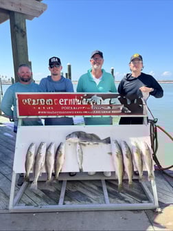 Speckled Trout Fishing in Port Aransas, Texas