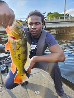 Fishing in Fort Lauderdale, Florida