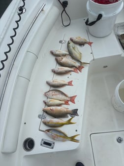 Fishing in Key Largo, Florida