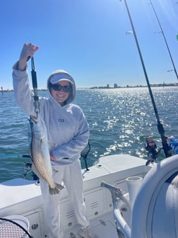 Fishing in Orange Beach, Alabama