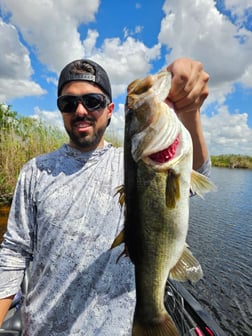 Fishing in Fort Lauderdale, Florida