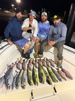 Fishing in Miami, Florida
