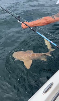 Fishing in Panama City, Florida