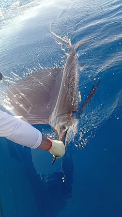 Fishing in Jaco, Costa Rica