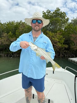 Fishing in Sarasota, Florida