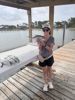 Fishing in Gulf Shores, Alabama