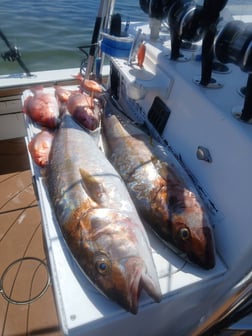 Fishing in Gulf Breeze, Florida