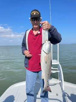 Speckled Trout / Spotted Seatrout Fishing in South Padre Island, Texas