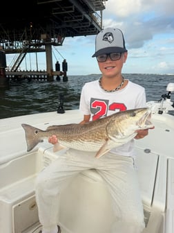 Fishing in Gulf Shores, Alabama