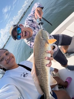 Fishing in Sarasota, Florida