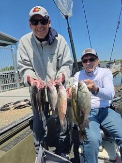 Fishing in Harrison, Tennessee