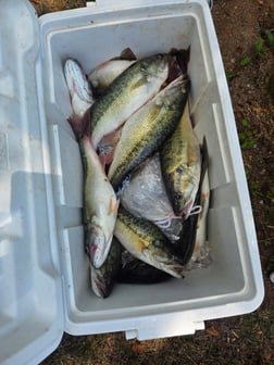 Fishing in Stokesdale, North Carolina