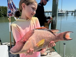 Fishing in St. Petersburg, Florida