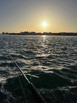 Fishing in Boca Grande, Florida