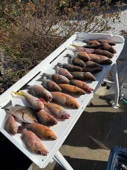 Fishing in Big Pine Key, Florida