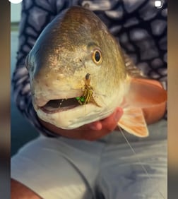Fishing in Savannah, Georgia