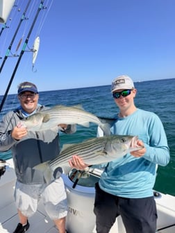 Fishing in Truro, Massachusetts
