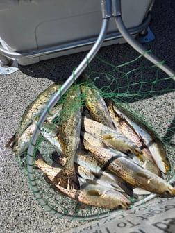 Fishing in Santa Rosa Beach, Florida