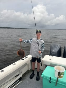 Fishing in Orange Beach, Alabama