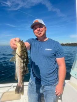 Fishing in Long Beach, California