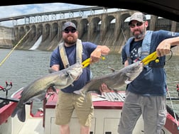 Fishing in Decatur, Alabama