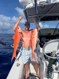Fishing in Placida, Florida