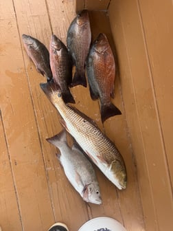 Fishing in Jacksonville, Florida