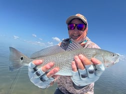 Fishing in Islamorada, Florida