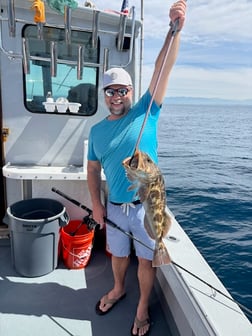 Fishing in Marina del Rey, California