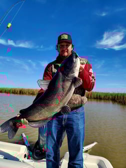 Blue Catfish Fishing in