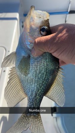Fishing in Clewiston, Florida