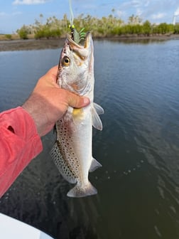 Fishing in Crystal River, Florida