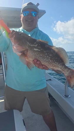 Fishing in Sarasota, Florida