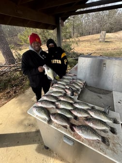 Fishing in Pope, Mississippi