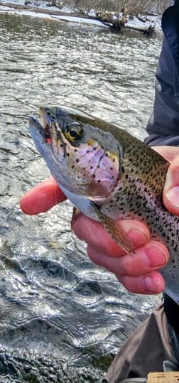 Fishing in Broken Bow, Oklahoma