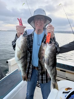 Fishing in San Diego, California