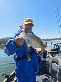 Fishing in Harrison, Tennessee