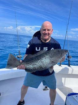 Fishing in Clearwater, Florida