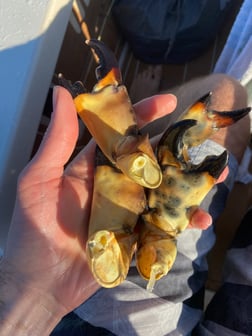 Fishing in Matlacha, Florida