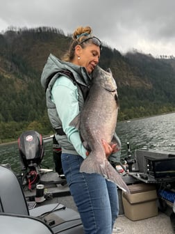 Fishing in Portland, Oregon