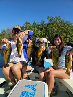 Hunting in Fort Lauderdale, Florida