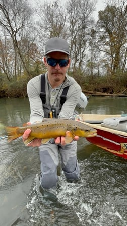 Fishing in Roswell, Georgia